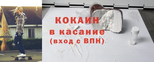 индика Алзамай