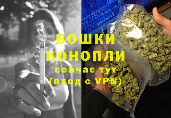 индика Алзамай