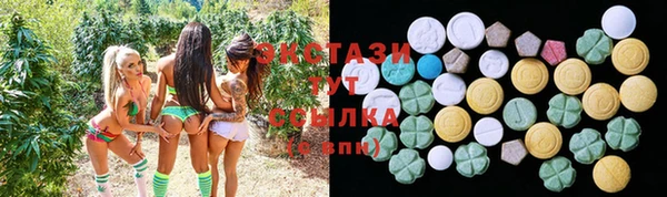 индика Алзамай